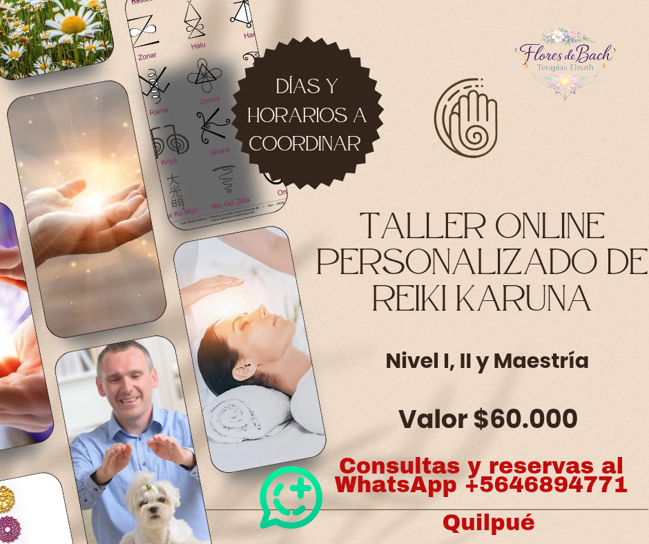 Taller Reiki Karuna - Detalles